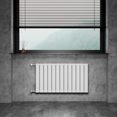 WITEN&NOCK Radiatore di design piatto a pannello, bianco, 1000 x 550 mm, doppio strato con attacco laterale, distanza dal mozzo 500 mm, valvole termostatiche incluse