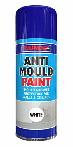 Rapide Anti Mould Spray Paint 2 x 400ml