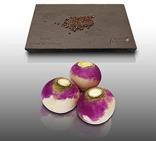 150 graines à semer - Le Grenier d'Abondance - NAVET Rond de Nancy - Rapum