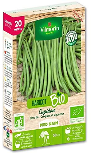 Vilmorin - Graines de Haricot Nain Vert Cupidon BIO - 20 mètres