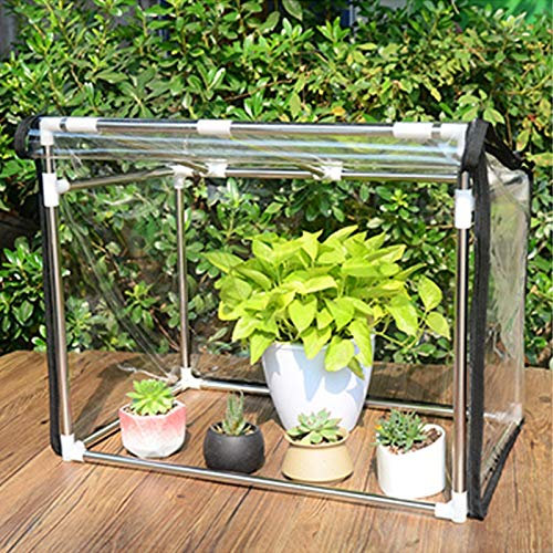 Piccola mini serra Tenda per piante Copertura per vasi di fiori - Cortili da giardino interni esterni in plastica trasparente e telaio in acciaio inossidabile, impermeabile agli agenti atmosferici