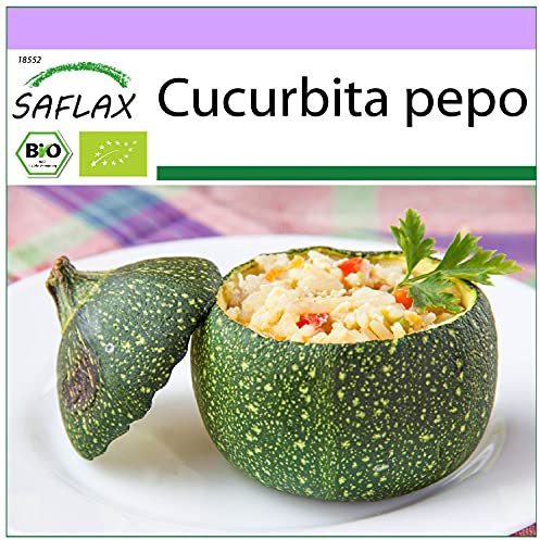 SAFLAX - BIO - Courgette - Tondo di Nizza - 5 graines - Cucurbita pepo