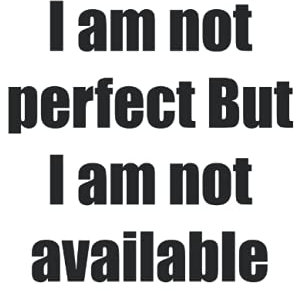 I am not perfect But I am not available: I am not perfect But I am not available
