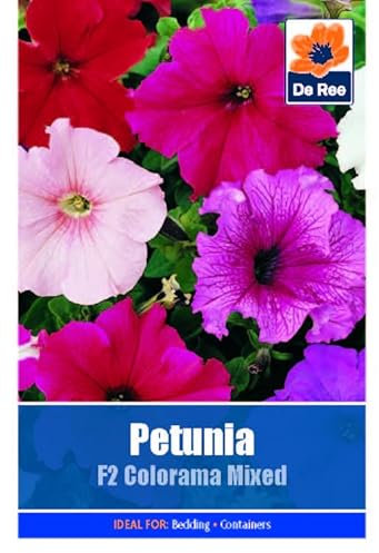 Flower Seeds Petunia F2 Mixed - 995 Seeds Packet Plant Bedding Borders Containers Pots Grow Your Own Garden Plant Seed