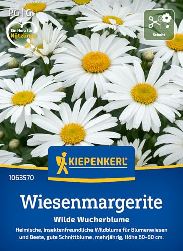 Kiepenkerl Wiesenmargeritensamen Wilde Wucherblume 1063570 - heimische, insektenfreundliche Wildblume für Wiesen und Beete - Pflanzen, Blumensamen, Saatgut