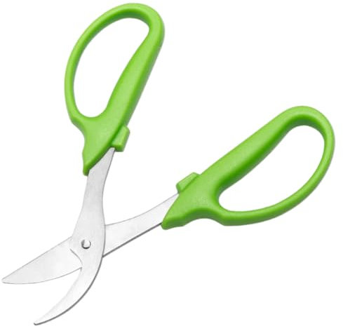 TINEASUR ciseaux à branches hautes ciseaux à caille plumeur de cailles sécateur sans fil gondoler Ciseaux de jardin sécateur professionnel ciseaux à fleurs coupe-fleurs pour tiges Métal