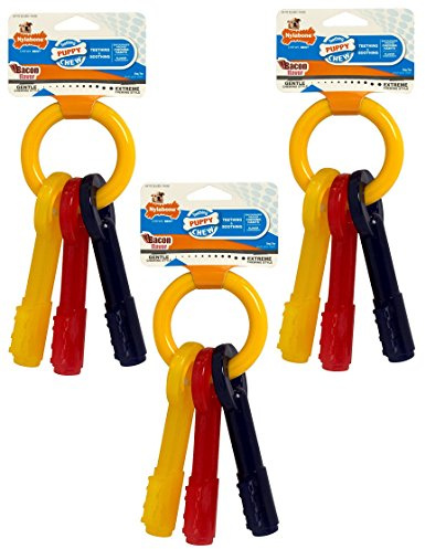 Nylabone (3 Pack) Just For Puppies Key Ring Bone Puppy Dog Teething Chew Toys - Size Medium