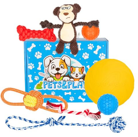 Pets & Play Gemischtes Hundespielzeug-Set für den Außenbereich, 8-teiliges Set mit Frisbee, Bällen, Seilspielzeug, quietschendem Plüsch, Gummiknochen, langlebiges Sommerspiel für kleine – große Hunde