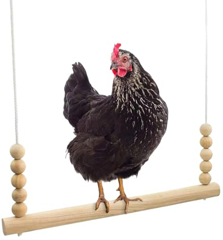 s gallineros para gallinas Juego Y Enriquecimiento Percha Escalera Escalada