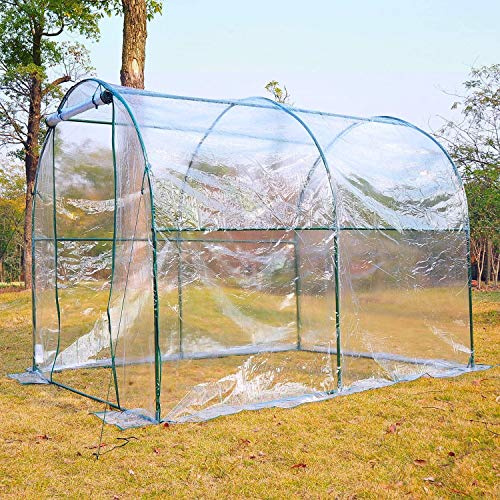 DecHome - Serra da Giardino Per Piante a Tunnel in Pvc 250x200x200 cm