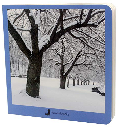 Invierno (Mis primeras Imágenes)