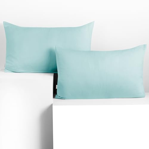 DecoKing Set med 2 örngott 50 x 60 cm jersey 100 % bomull kammad dragkedja ljusblå bärnsten
