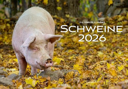 Schweine Kalender 2026: Der Tierkalender mit den charmanten Namen