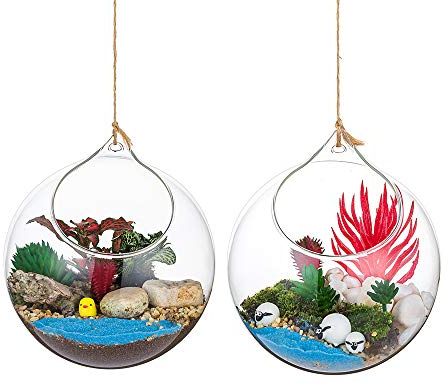 Hängende Glaskugel Vase Glaskugel 2 Pcs Große Öffnung Sukkulenten Aufhängen Terrarium Glas Flower Air Pflanzgefäß Container 4.72 Inches für Home Party Hochzeitsgarten DIY Desig
