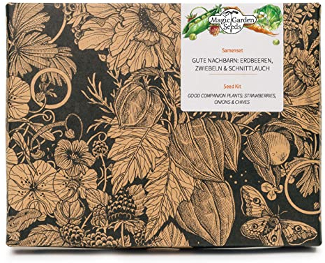Erdbeeren, Zwiebeln & Schnittlauch - Samen-Geschenkset mit 5 guten Nachbarn in Mischkultur