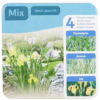 Bloomique - Set di 3 piante da laghetto - Set pronto all’uso - Confezione a secco - Con Pontederia, Acorus, Iris - Piante da laghetto - Piante acquatiche - Cestino 18 cm