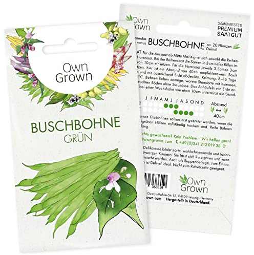 Grüne Bohnen Samen Buschbohnen: Grüne Buschbohnen Samen für 20 Bohnen Pflanzen – Bohnensamen Buschbohne – Samen Gemüse Samen – OwnGrown Saatgut Bohnen