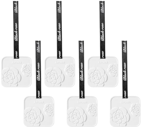 GXGM 6 Piezas Ambientador coche nuevo, ambientador de coche, car air freshener, interiores de automóviles, ambientador para coche