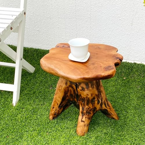 Brefhome 14.5 Natural Cedar Tree Stump Stool - Unique Wood Side Table & Rustic End Table, Small Live Edge Plant Stand, Handmade Mushroom Stool for Living Room, Outdoor, Patio