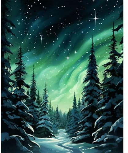 Fountor Starry Sky Paint by Numbers for Adults Without Frame 40x50 CM | Aurora DIY Acrylic Painting by Numbers for Adults, Stress Relief Craft Kits, Home Wall Decor Gift, Forest Landscape