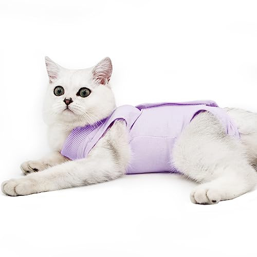 Dotoner Cat Professionale Recupero Vestito per Addominali ferite o malattie della Pelle, e-Collar Alternativa per Gatti e Cani, Dopo Un Intervento Chirurgico Wear, Home Abbigliamento (Viola,m)