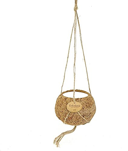 Kokodama - Leerer Ampeltopf zum Hängen - 12cm