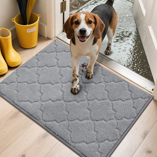 COSY HOMEER Paillasson Interieur Entree Antidérapant, 50 x 80 cm Tapis Entree, Tapis d'Entrée Intérieur Absorbant, Lavable en Machine, Anti-Salissures, Gris Clair