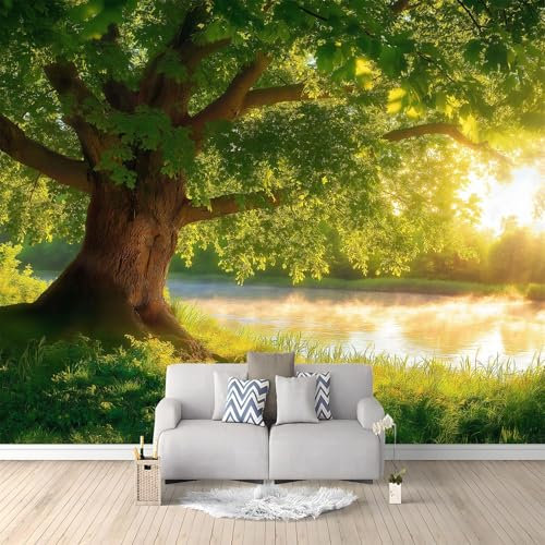 Papel Tapiz Fotográfico Fotomurale Paisaje Natural Césped Sol Robles 250 x 175 cm Art Mural Cafe Restaurant Dormitorio Decoración para el Hoga Murales Papel Pintado a Papel Fotomural Dormitorio