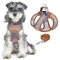PawSailor No Pull Hundegeschirr Und Leinen-Set, Weiches Netzgewebe, Atmungsaktiv, Step-In, Verstellbar, Bedruckt, Reflektierend, Ausbruchsicher, Für Kleine Und Mittelgroße Hunde, Braun L