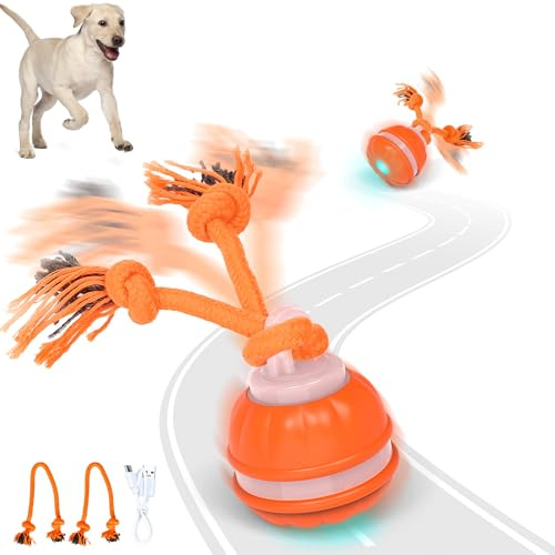 Iokheira Jouet pour Chien Interactif, Balle Interactive Chiens,Jouet pour Chiot Occupation, Balle pour Chien Intelligent Rechargeable Jouets pour Chiot avec Ficelle,Jouet Cadeau de Noël