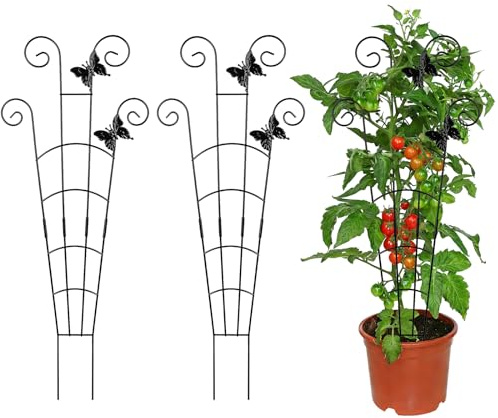 KATLKIU Confezione da 3 pali di supporto per piante in metallo, altezza totale 77 cm, traliccio da giardino per piante rampicanti e fiori, supporti in ferro antiruggine per uso interno ed esterno