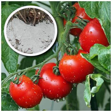 25 kg Bio Tomatendünger Dünger Tomaten Paprika Gemüse Gemüsedünger Gartendünger
