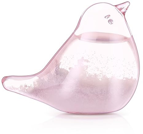 Storm Glass Weather Station, Glass Weather Forecaster Barometer Bird Weather Forecast Bottle Pink Weather Predictor for Desktop Decor, Mother's Day Gifts for Mom Grandma (No Base)