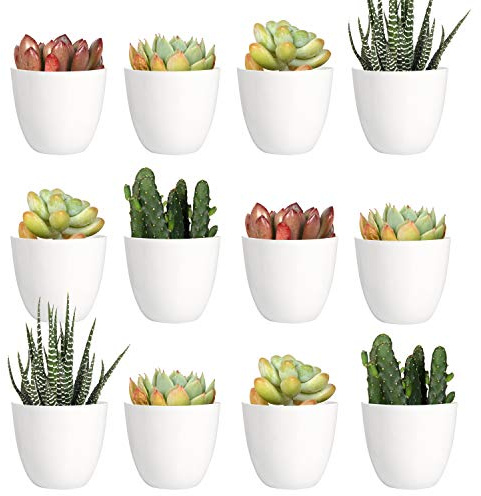 Youngever 24er Pack 5 cm Mini Pflanzgefäße aus Kunststoff, Blumentöpfe für den Innenbereich, Weiße Gartentopf mit Drainage – NO Pflanze im Lieferumfang enthalten (Modern)