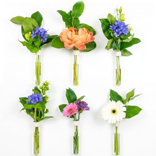 TWILG – Magnetic test tube vases – White – Pack of 6 | Magnetic wall vases with glass test tubes, holder and leather strap; for flowers and interior decoration