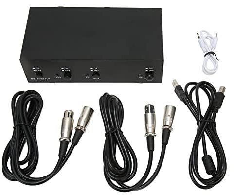 48-V-Netzteil, professionelles Eisengehäuse-Netzteil mit XLR-Kabel, Zwei Eingängen und einem Ausgangsleistungskondensator für Musikaufzeichnungsgeräte