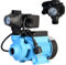 Wasserpumpe QB 60 mit Moderne Druckschalter zum Tank - Gartenpumpe (370 W, 2100 l/h, Förderhöhe 39m) - Gußeisen - Pumpensteuerung Druckwächter - Hauswasserwerk - für Brauchwasserversorgung Bewässerung