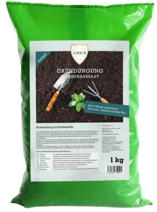 Linsor Gründüngung Sommeraussaat, Saatgut, Humusbildung, Bienenmagnet, 1kg für 250m²