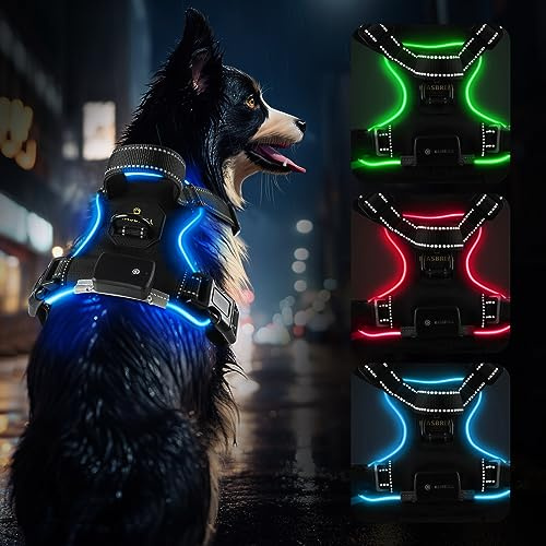 LED Dog Vest Harness, Rechargeable & Reflective with Handle & 2 Lead Clips, Soft Padded for Small, Medium, Large Dogs (Blue L)
