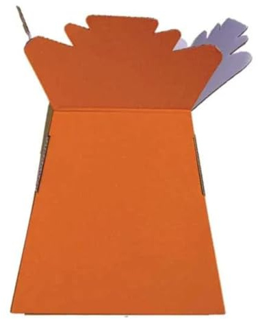 INERRA Florist Boxes - Living Vases for Flower Bouquet Box Making - Pack of 10 (Orange)
