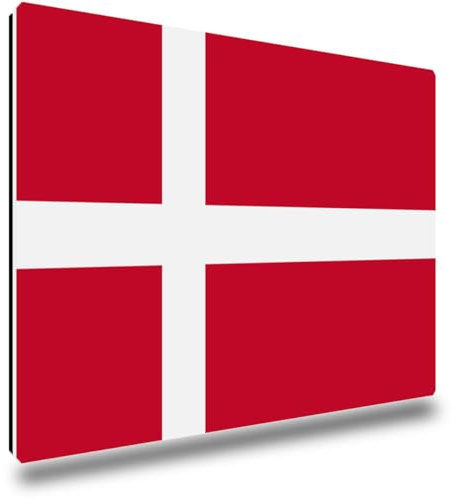 TRIOSK Kühlschrankmagnete Länderflaggen Magnet Flagge Dänemark Länder Reise Souvenir Geschenk für Reiselustige Frauen Männer Weltenbummler Kühlschrank stark eckig groß 85x55 mm