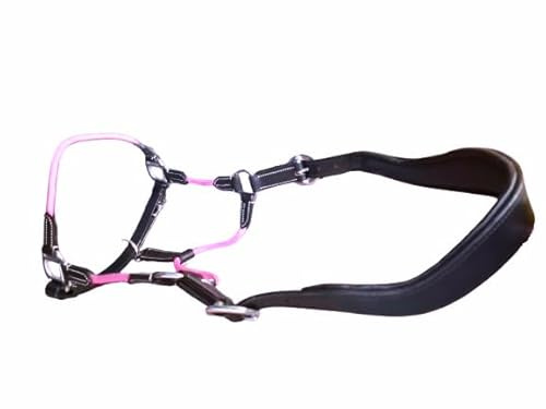 Cwell Equine Cabestro acolchado híbrido de cuero negro y cuerda de lujo, completo/mazorca, poni (poni rosa)
