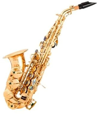 Professionell Saxofon B platt Altsaxofon I Mässing Förgylld Böjd Hals