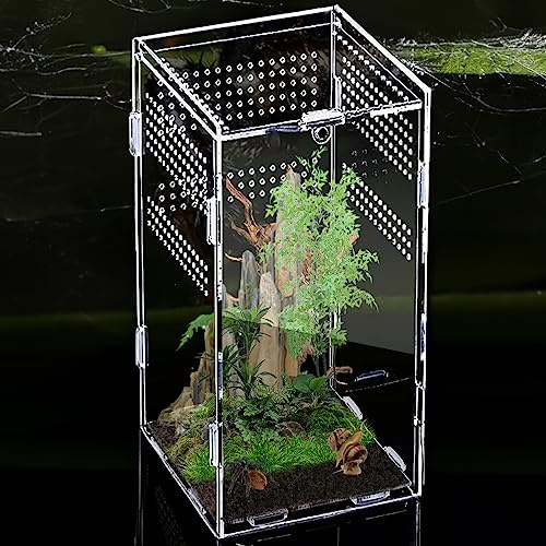 Terrario acrílico 360 ° Terrario de Caracol Terrarium: Nizirioo 12 x 12 x 20 cm Caja de alimentación para Reptil, Mini Terrario acrílico Transparente para Spide, Escorpión, Mantis Religiosa
