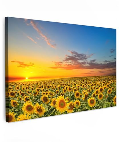 MuchoWow© Quadri Astratti su Tela Foto Quadro Moderno Soggiorno Canvas