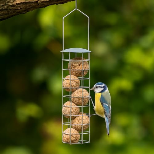 Garden Mile Fat Ball Bird Feeder for Small Birds | Squirrel Proof, Hanging Wild Bird Feeders for Garden, Backyard, Lawn & Outdoors | Durable Metal Fatball Holder for Garden, Patio, Windows