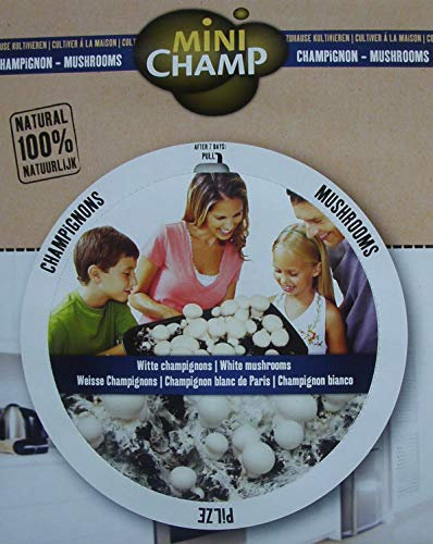 Pilzzuchtset weiße Champignon Pilze,komplett fertig bis zu 5mal ernten Bio Qualität