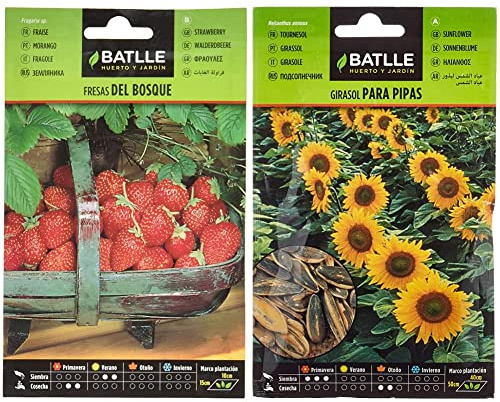 Semillas Batlle Fresas de Bosque + Girasol para pipas