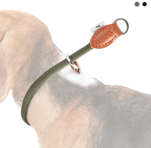 FREUDENTIER Zugstopp Halsband Hunde - Retriever Halsband - Hundehalsband Zugstopp für kleine, mittelgroße & große Hunde (Waldgrün, M)