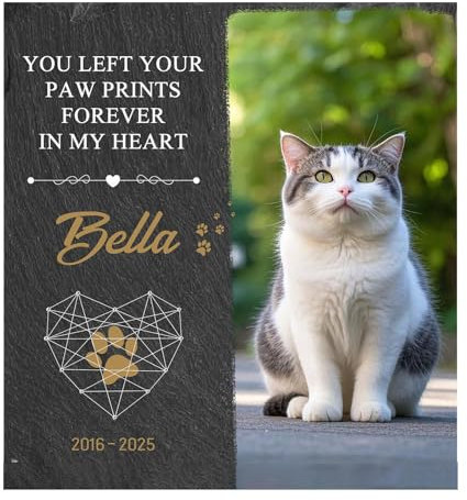 Fonowx Piedra Conmemorativa para Jardín, Marcador de Tumba en Memoria de Perros, Square Style C, Individual